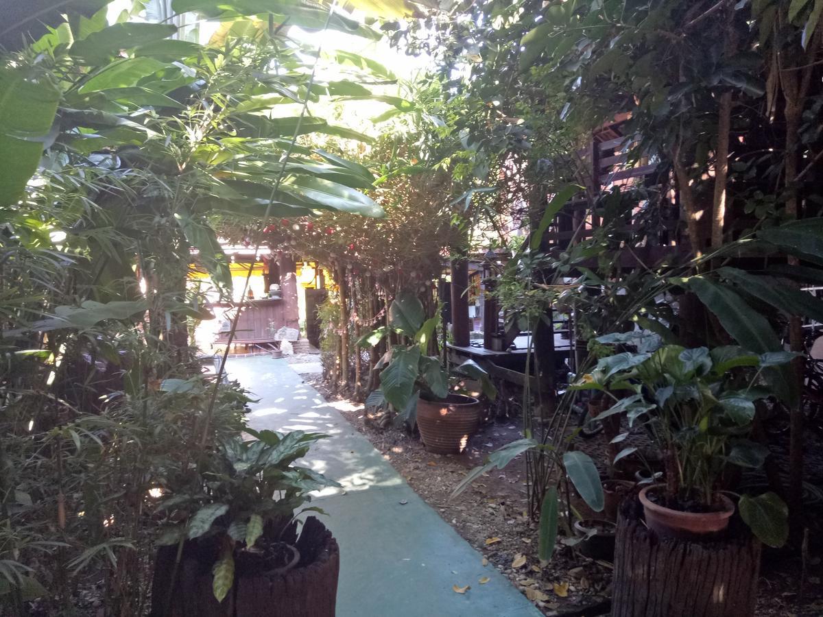 צ'יאנג מאי Tonnam Homestay מראה חיצוני תמונה